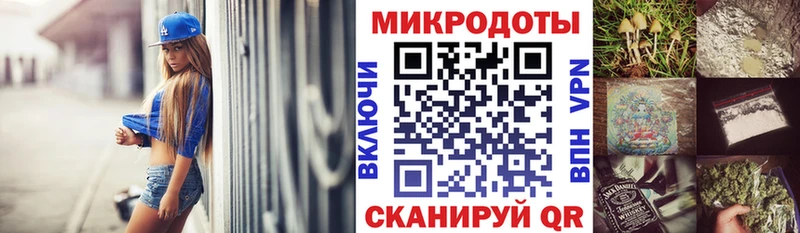 купить   Воронеж  Галлюциногенные грибы Psilocybine cubensis 