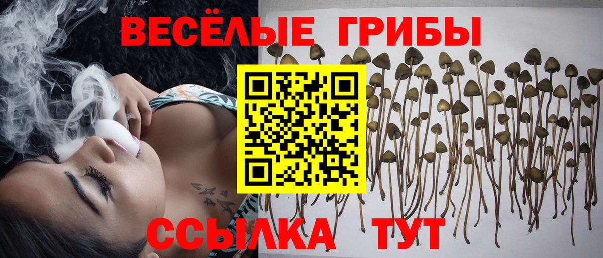 Галлюциногенные грибы Cubensis Воронеж