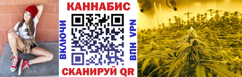 где найти наркотики  МЕГА ТОР  Каннабис тримм  Воронеж 